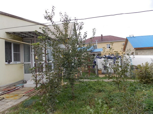 Фото 1