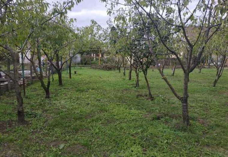 Участок в пригороде Анапы