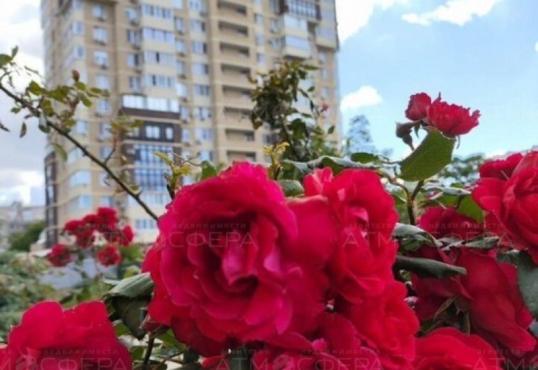 Фото 8