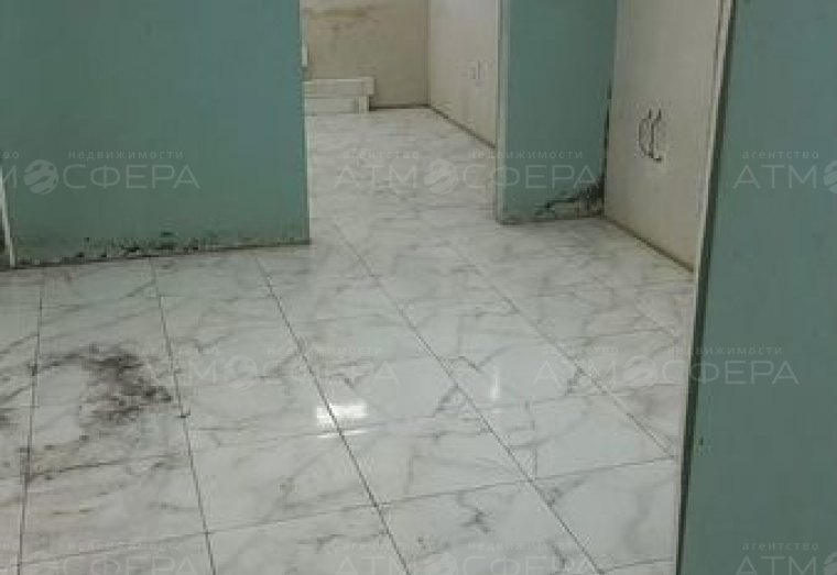 Квартира-студия в цольном этаже 25,7 м²