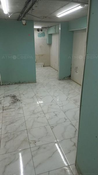 Квартира-студия в цольном этаже 25,7 м²