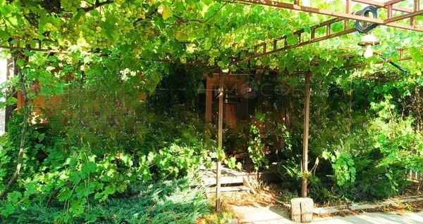 Продается дом в СОТ Здоровье