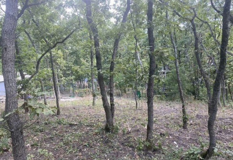 Продаётся земельный участок в с. Варваровка