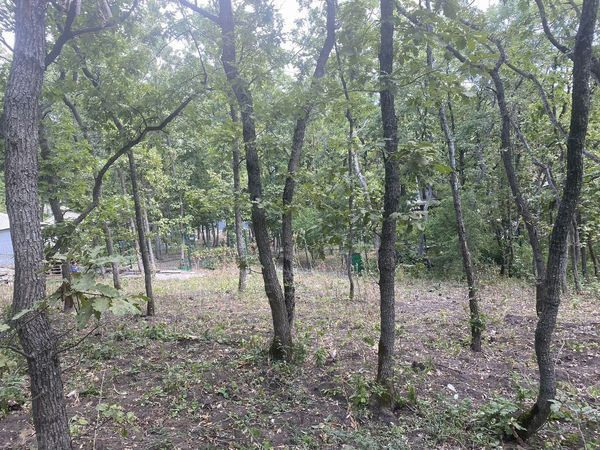 Продаётся земельный участок в с. Варваровка