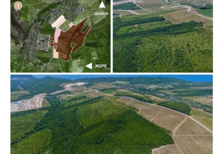 Продаётся земельный участок с виноградниками в с. Варваровка